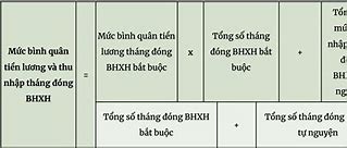 Cách Tính Lương Hưu Tự Nguyện