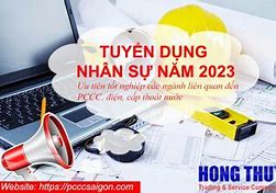 Cty Xkld Vov Tuyển Dụng 2023 Mới Nhất Tphcm Hôm Nay Bao Nhiêu