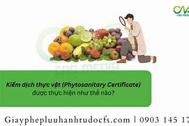 Kiểm Dịch Thực Vật Tiếng Anh Là Gì